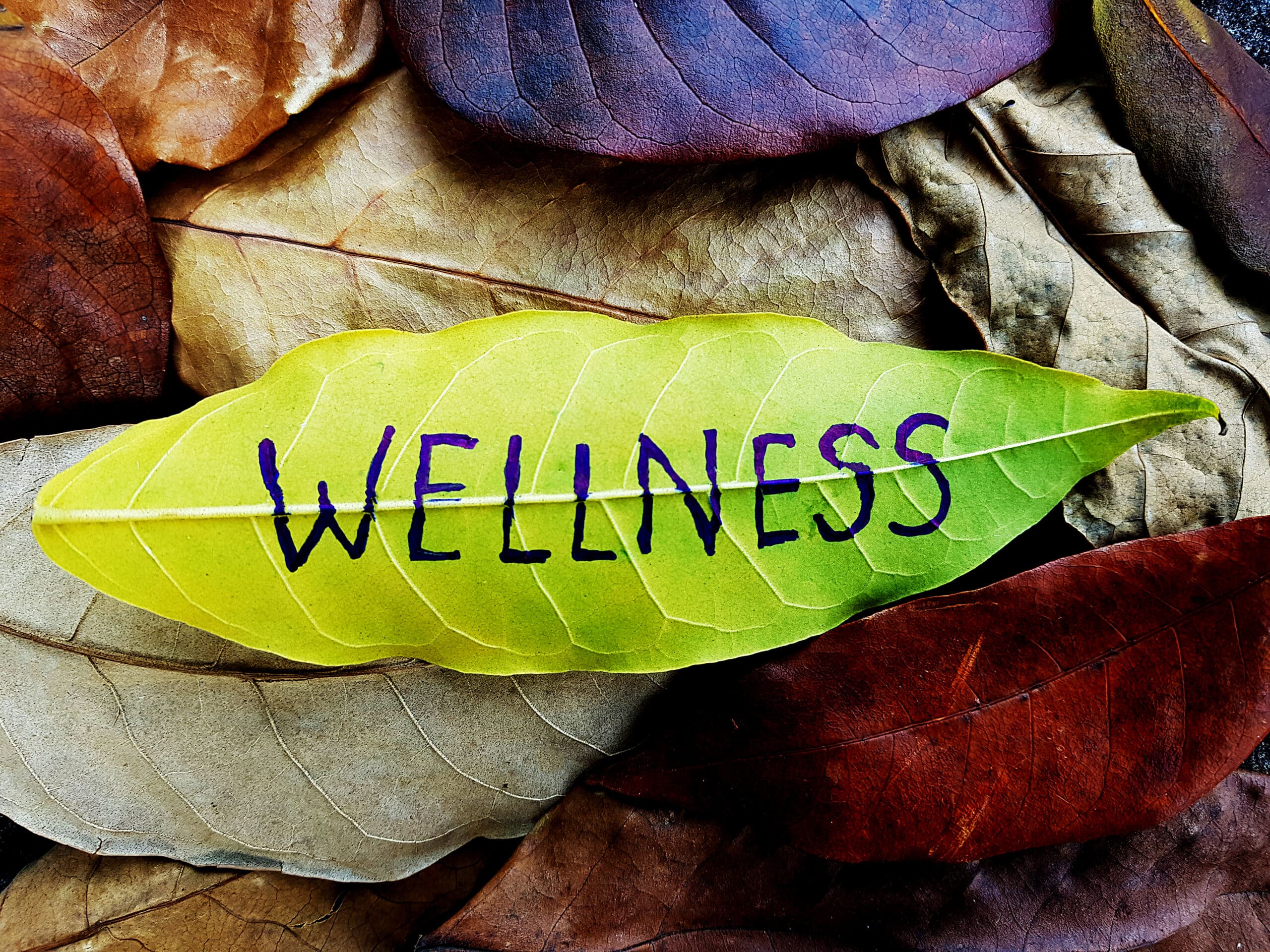 5 Types of Wellness Franchises You Can Open